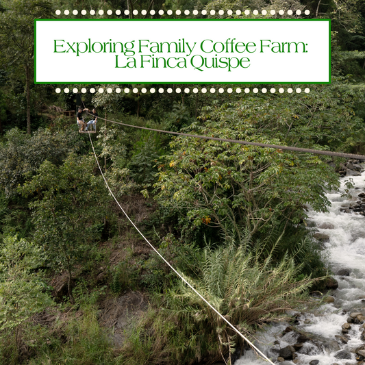 Exploring Family Coffee Farm: La Finca Quispe