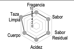 Typica - Single Origin Speciality Koffie